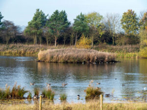 Image name tophill low nature reserve east yorkshire the 10 image from the post East Yorkshire in Yorkshire.com.