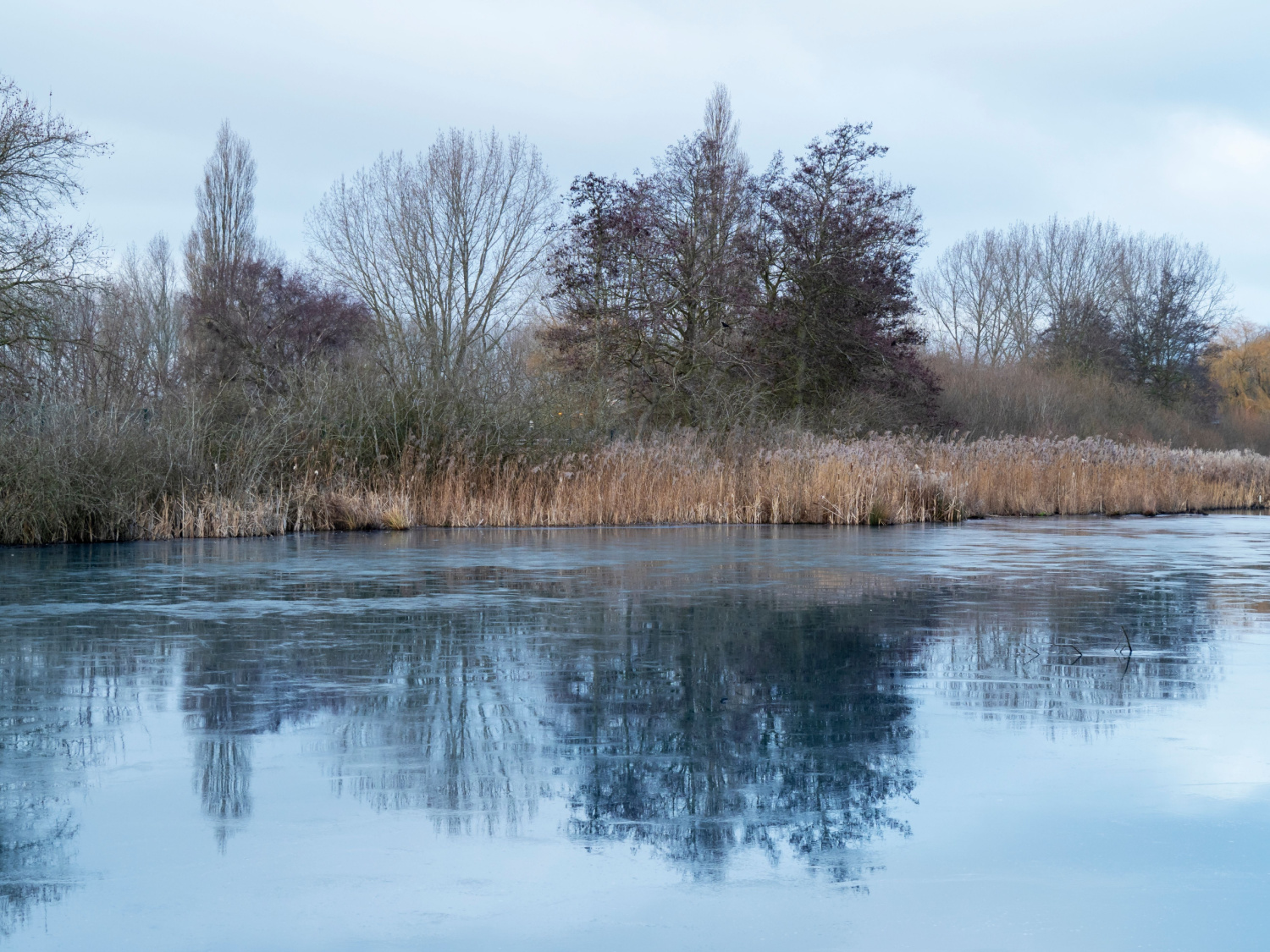 Image name tophill low nature reserve east yorkshire frozen water the 29 image from the post Hutton in Yorkshire.com.