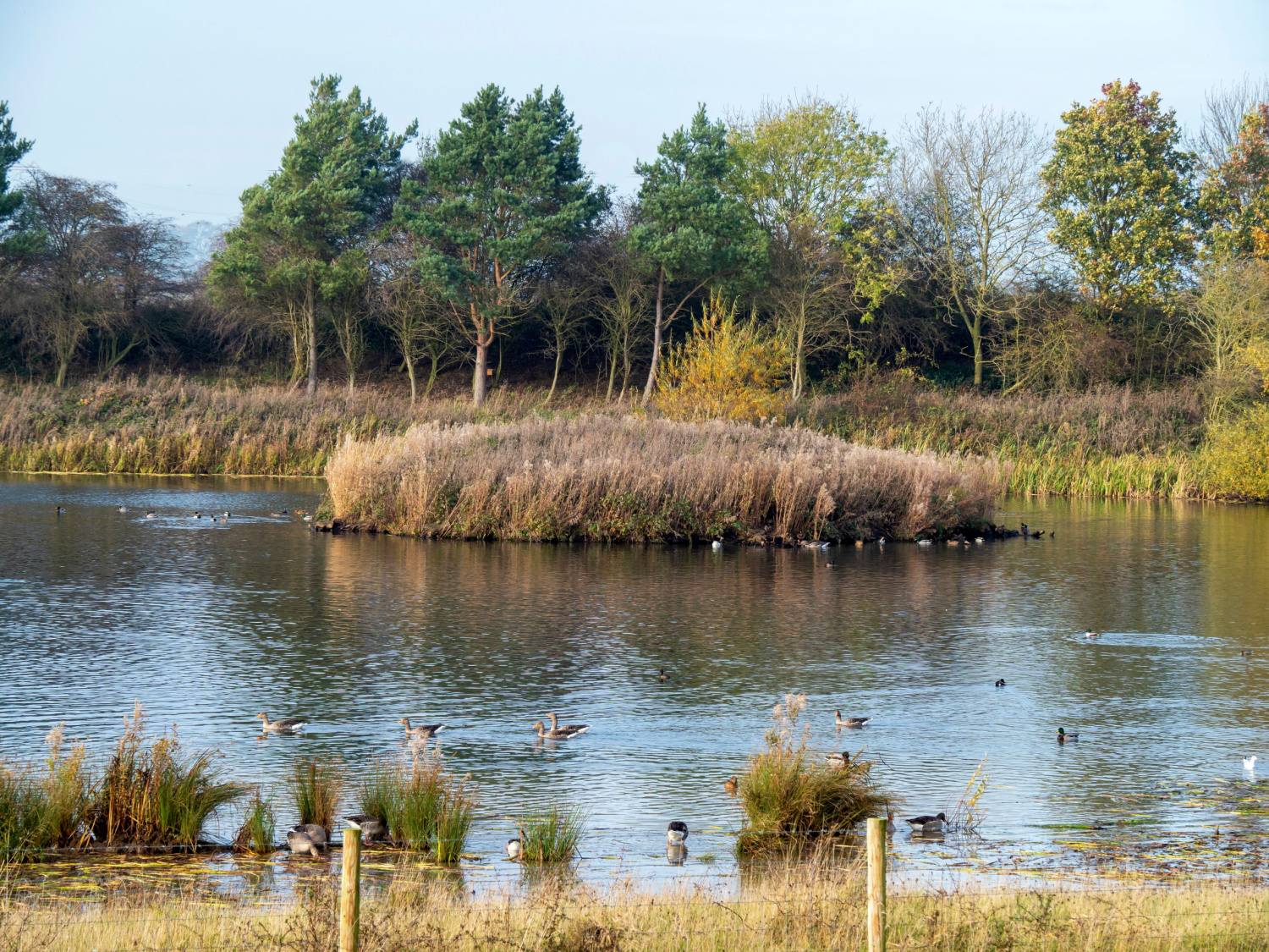 Image name tophill low nature reserve east yorkshire the 11 image from the post Watton in Yorkshire.com.