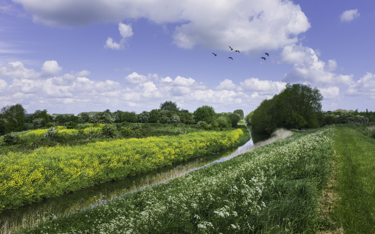 Image name wilfholme beverley and barmston drain east yorkshire the 21 image from the post Wilfholme in Yorkshire.com.