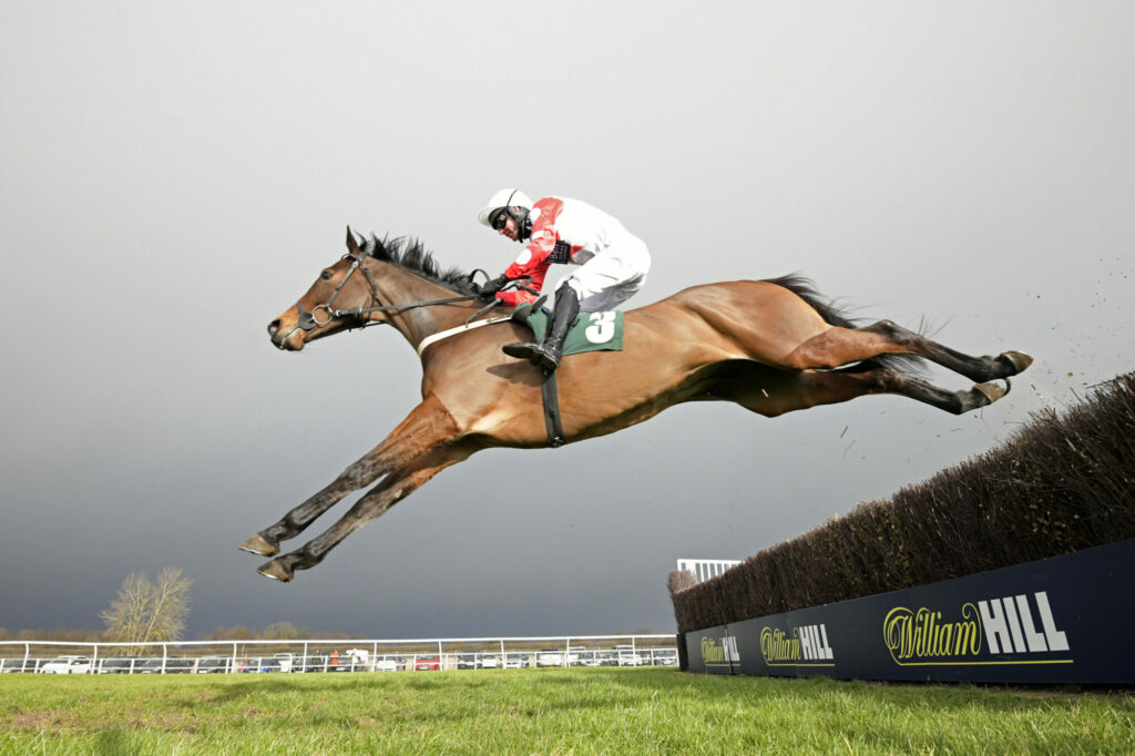 Day 8 – Christmas 2023 Post image 6 Image name Wheelbahri jumping horse catterick racecourse yorkshire the 6 image from the post Day 8 – Christmas 2023 in Yorkshire.com.