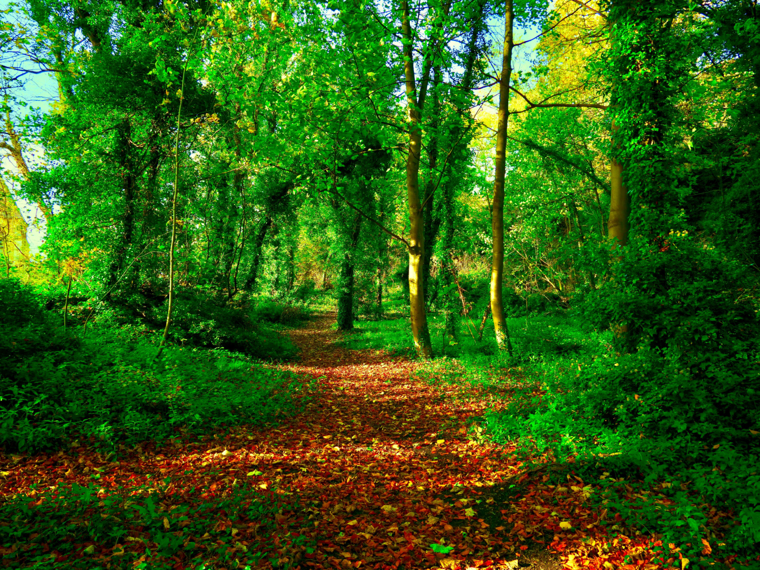 Image name brockadale nature reserve west yorkshire the 5 image from the post Kirk Smeaton in Yorkshire.com.