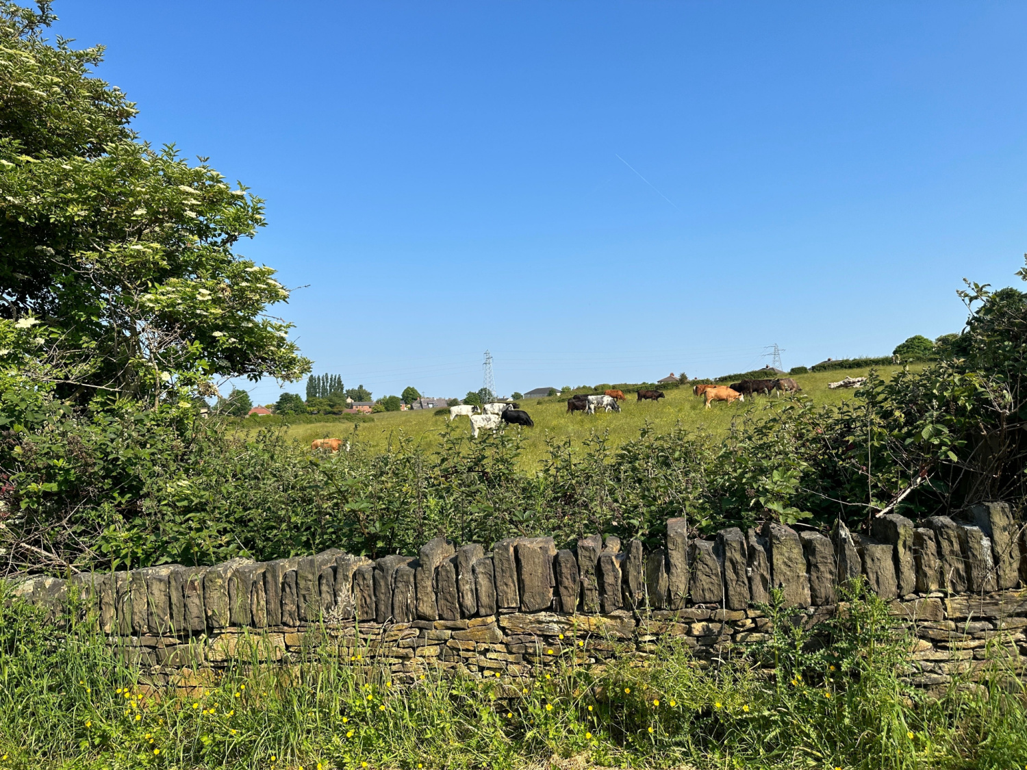 Image name liversedge west yorkshire uk the 11 image from the post Liversedge in Yorkshire.com.