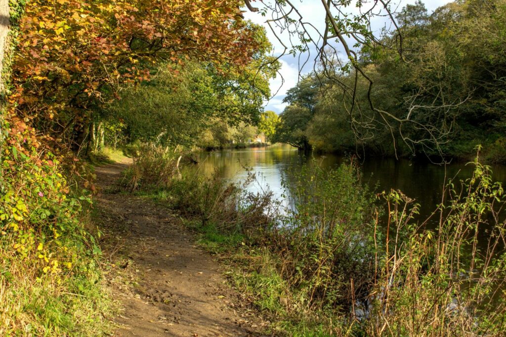 Walk: Saltaire Post image 1 Image name river aire near saltaire west yorkshire the 1 image from the post Walk: Saltaire in Yorkshire.com.