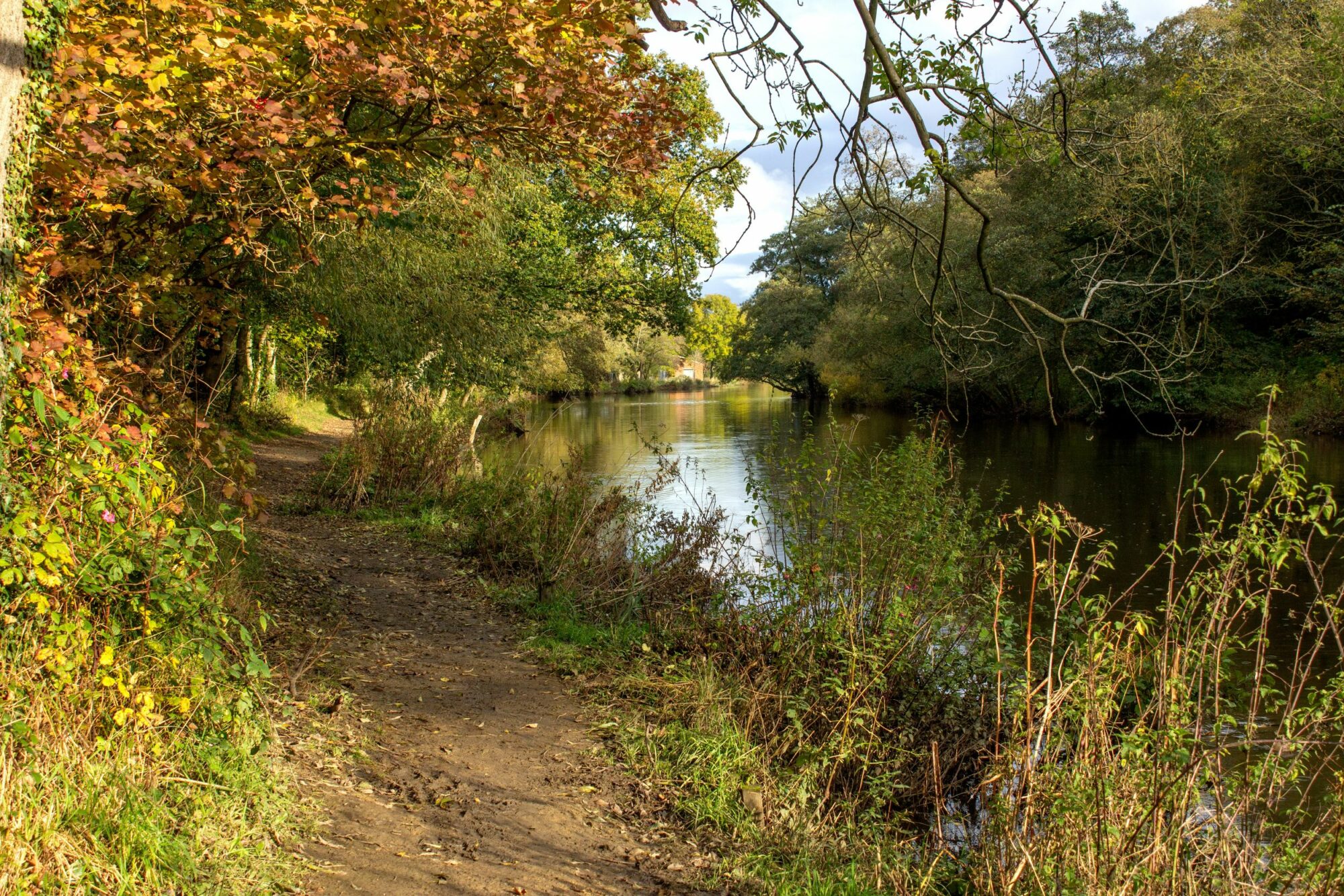 Image name river aire near saltaire west yorkshire the 15 image from the post Walk: Saltaire in Yorkshire.com.