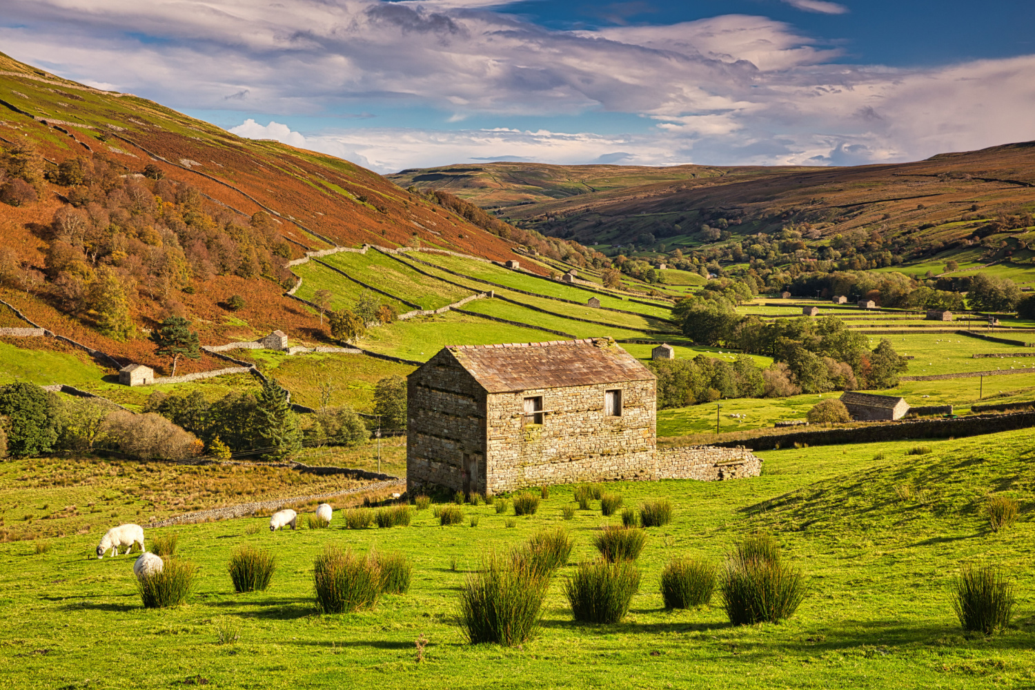 Image name swaledale autumn yorkshire the 21 image from the post Newsletter - Friday 24th November 2023 in Yorkshire.com.