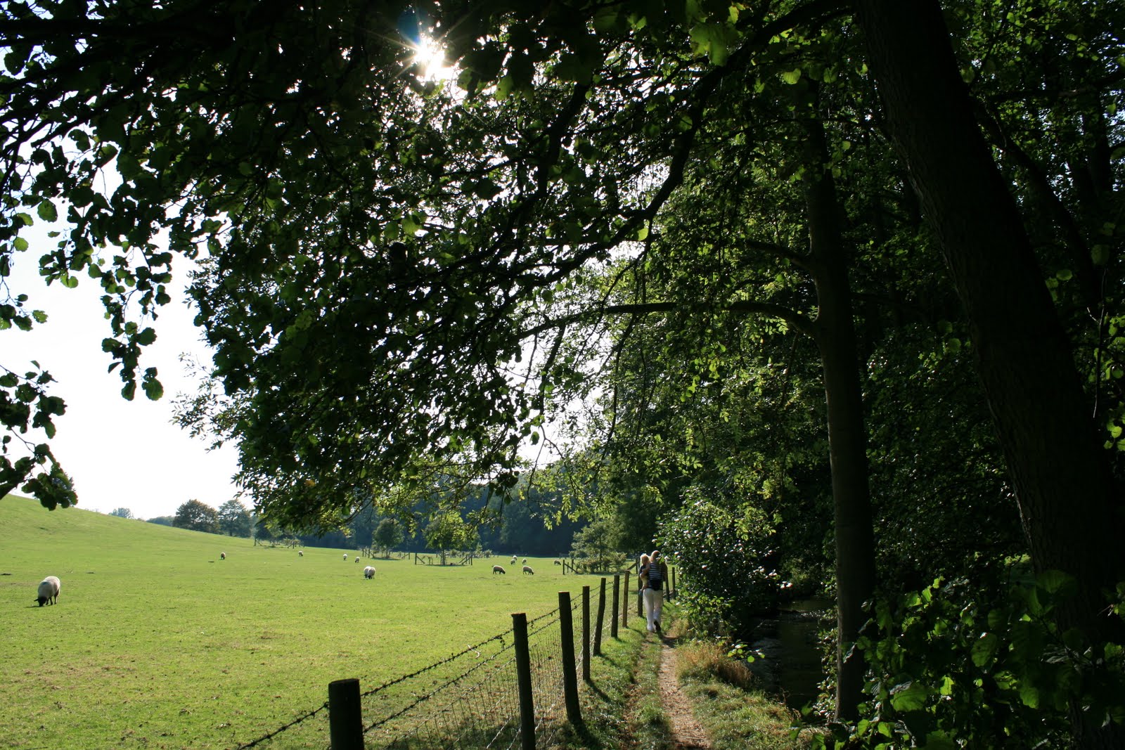 Image name thornton le dale north york moors yorkshire the 5 image from the post Walk: Thornton-le-Dale in Yorkshire.com.