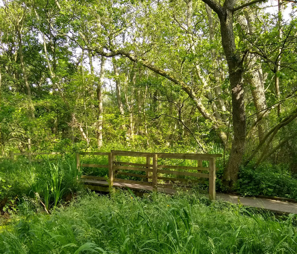 Walk: Askham Bar to Askham Bog and Copmanthorpe Trail Post image 1 Image name askham bog bridge york yorkshire the 1 image from the post Walk: Askham Bar to Askham Bog and Copmanthorpe Trail in Yorkshire.com.