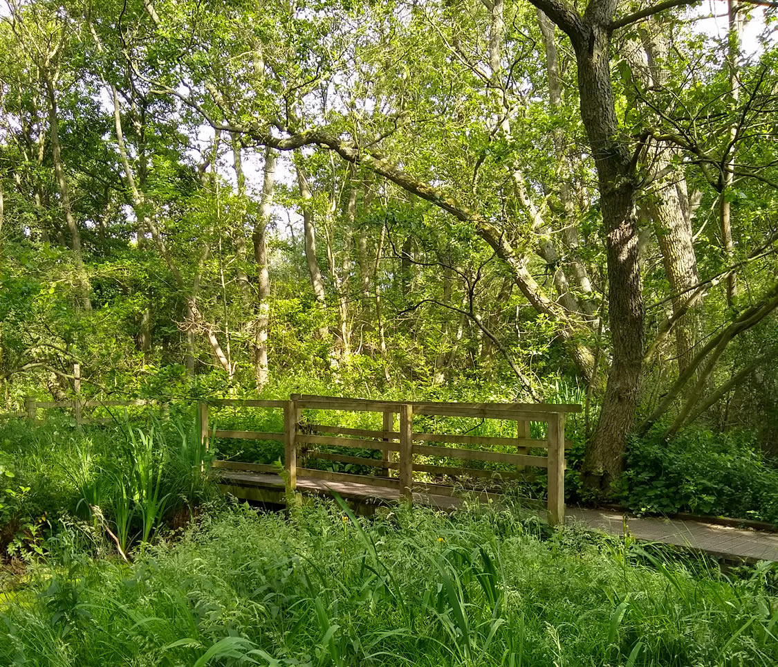 Image name askham bog bridge york yorkshire the 28 image from the post Walk: Askham Bar to Askham Bog and Copmanthorpe Trail in Yorkshire.com.