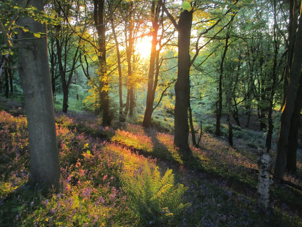 Image name brayton barff selby yorkshire the 25 image from the post Walk: Selby Horseshoe in Yorkshire.com.