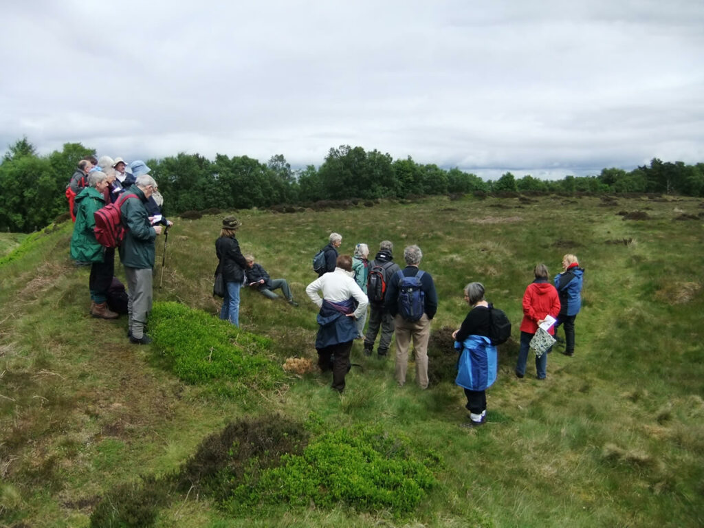 Walk: Cawthorn Roman Camps Post image 1 Image name cawthorn camps cropton pickering north yorkshire the 1 image from the post Walk: Cawthorn Roman Camps in Yorkshire.com.