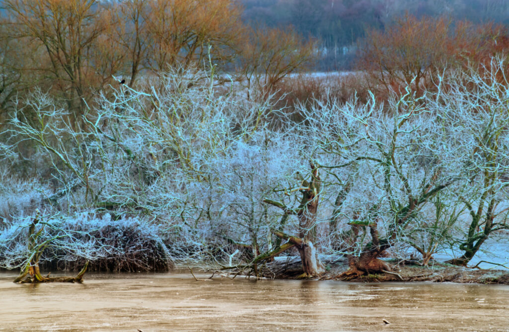 Newsletter - Friday 15th December 2023 Post image 1 Image name denaby ings near mexborough south yorkshire the 1 image from the post Newsletter - Friday 15th December 2023 in Yorkshire.com.