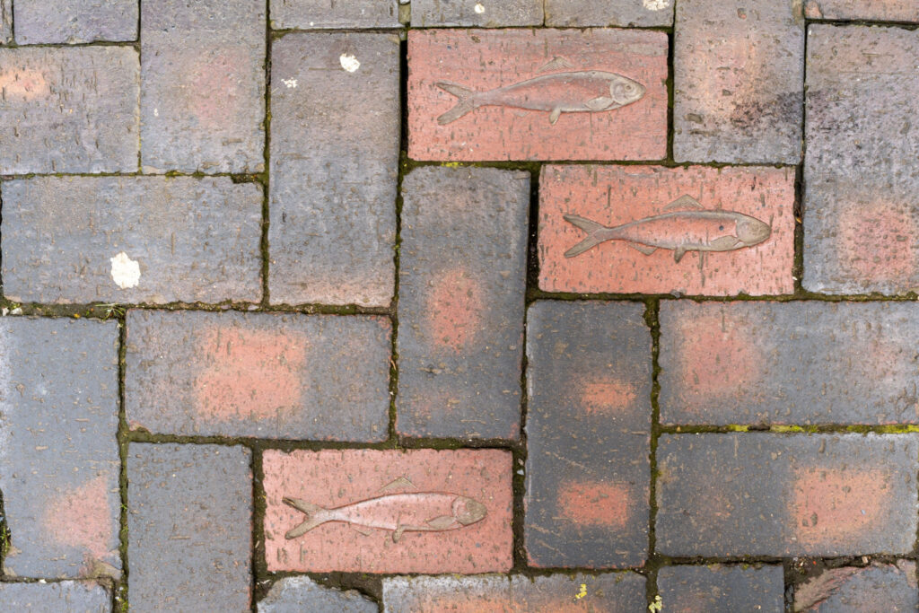Walk: Hull's Fish Trail Post image 1 Image name kingston upon hull decorative fish on bricks yorkshire the 1 image from the post Walk: Hull's Fish Trail in Yorkshire.com.