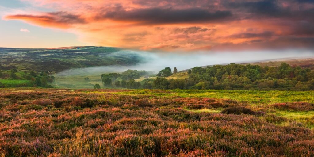 Special Offer: 2-night North Yorkshire escape with cream tea Post image 4 Image name tzoo.25376.0.1135250.iStock 183992953 3e YorkshireMoors the 4 image from the post Special Offer: 2-night North Yorkshire escape with cream tea in Yorkshire.com.