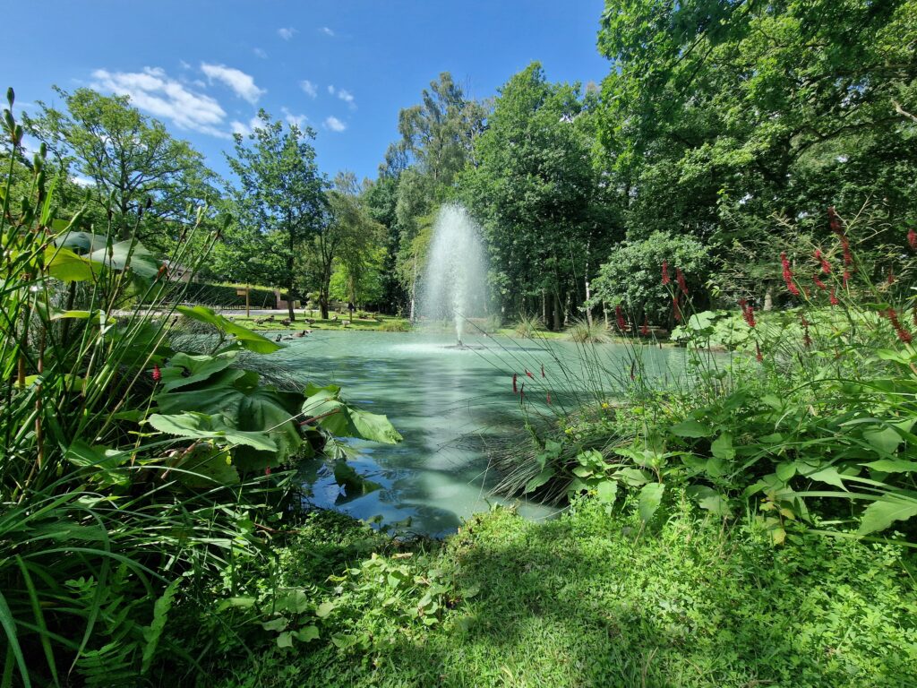 The Lodge Accommodation image 8 Image name Fountain July23 the 8 image from the post The Lodge in Yorkshire.com.