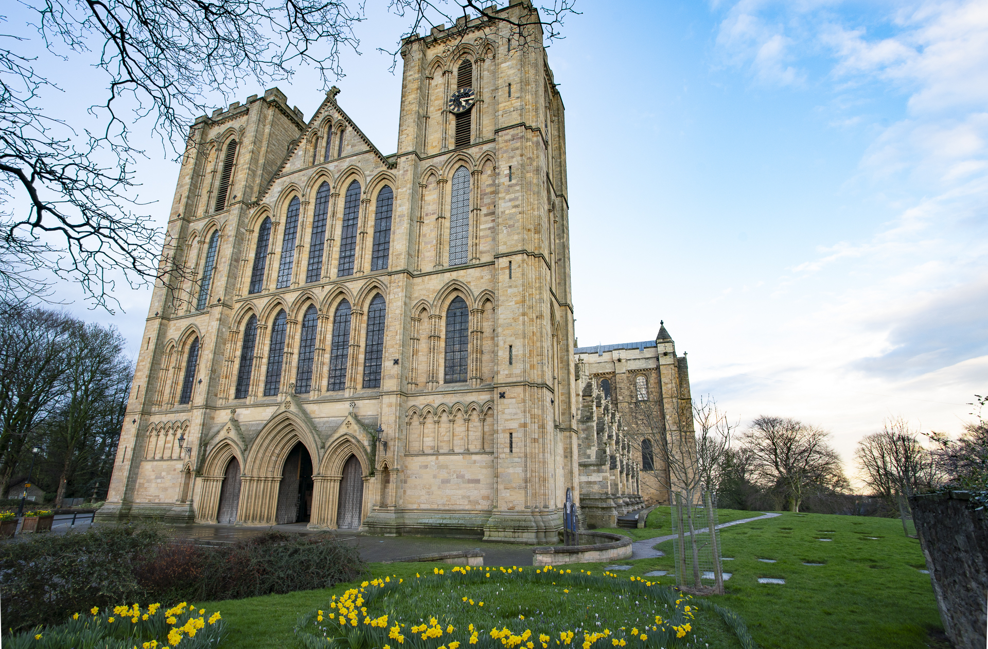 Image name spring dafodils landscape ripon cathedral north yorkshire the 32 image from the post Walk: Ripon Rowel in Yorkshire.com.