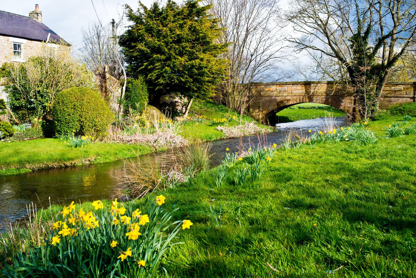 Image name aldbrough st john north yorkshire beck bridge daffodils the 32 image from the post Aldbrough St John in Yorkshire.com.