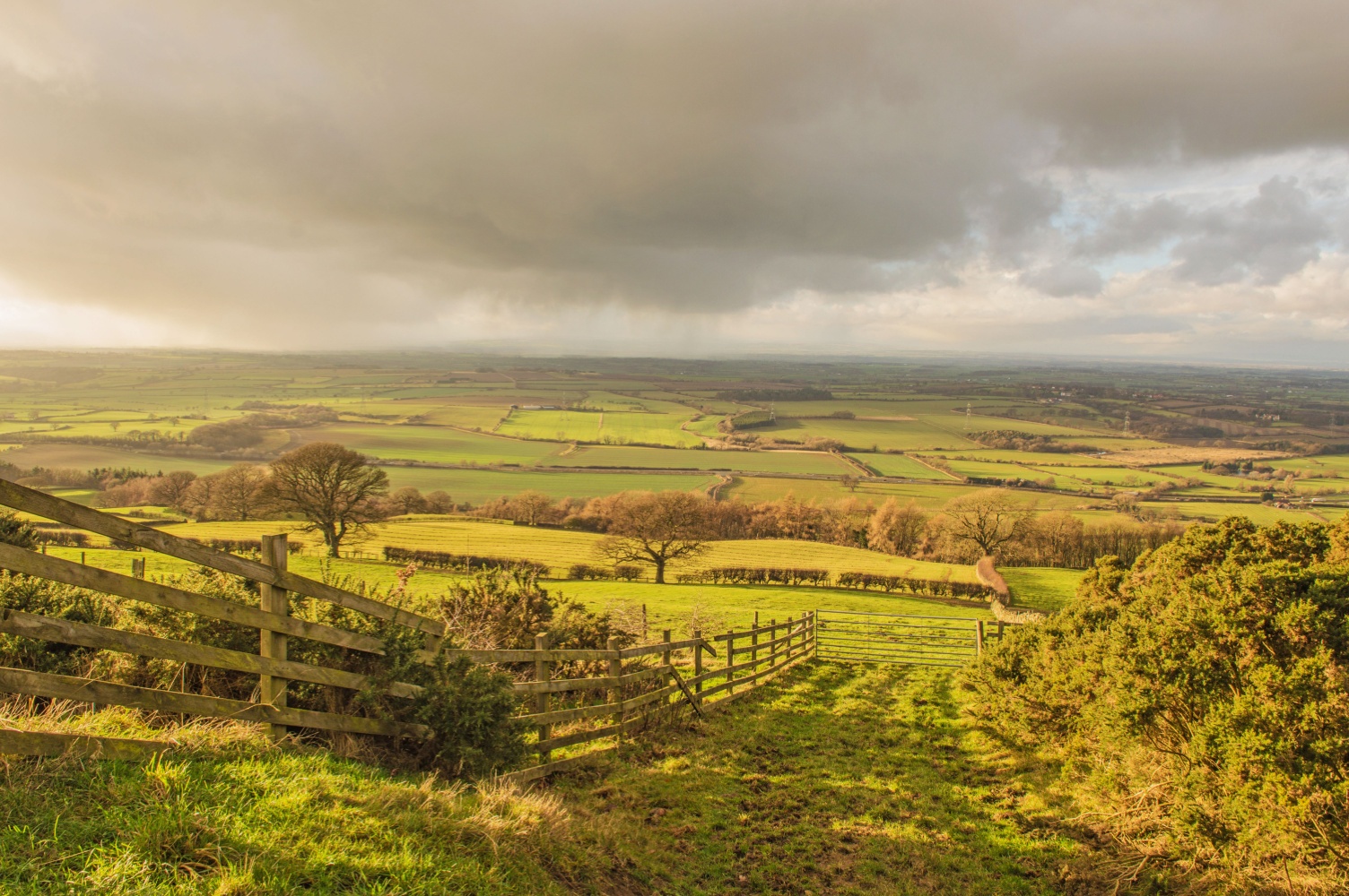 Image name land near osmotherley the 4 image from the post West Rounton in Yorkshire.com.