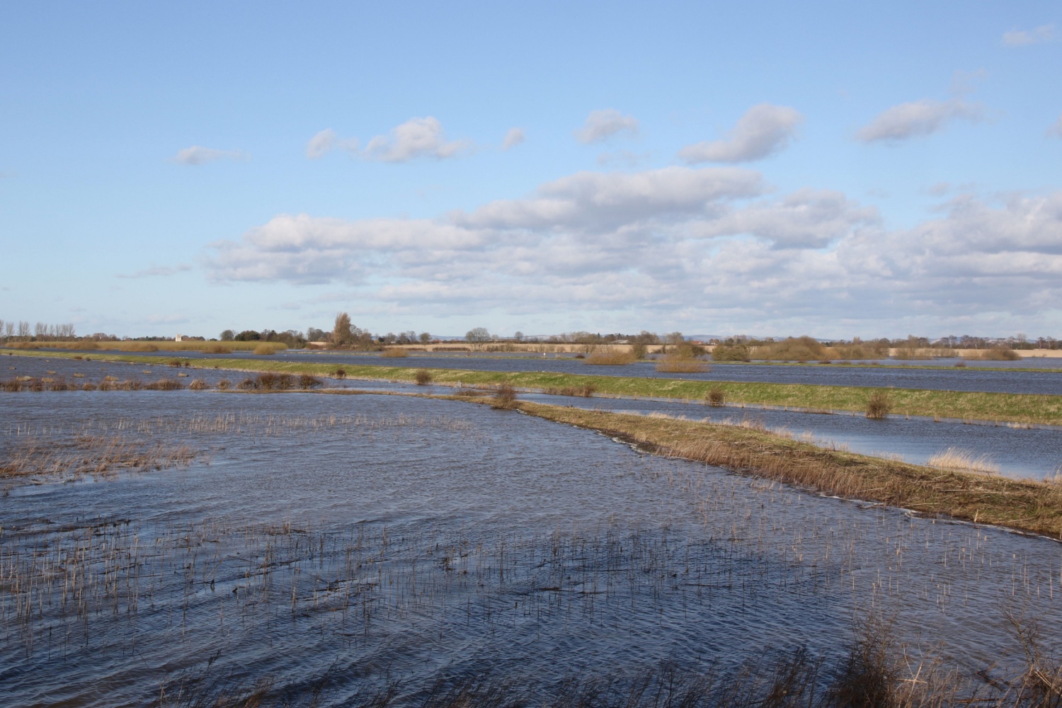 Image name north duffield flood plains north yorkshire the 4 image from the post North Duffield in Yorkshire.com.