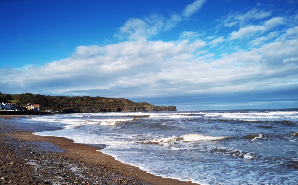 9 Great Coastal Dog Walks Post image 3 Image name sandsend sandy beach yorkshire the 3 image from the post 9 Great Coastal Dog Walks in Yorkshire.com.