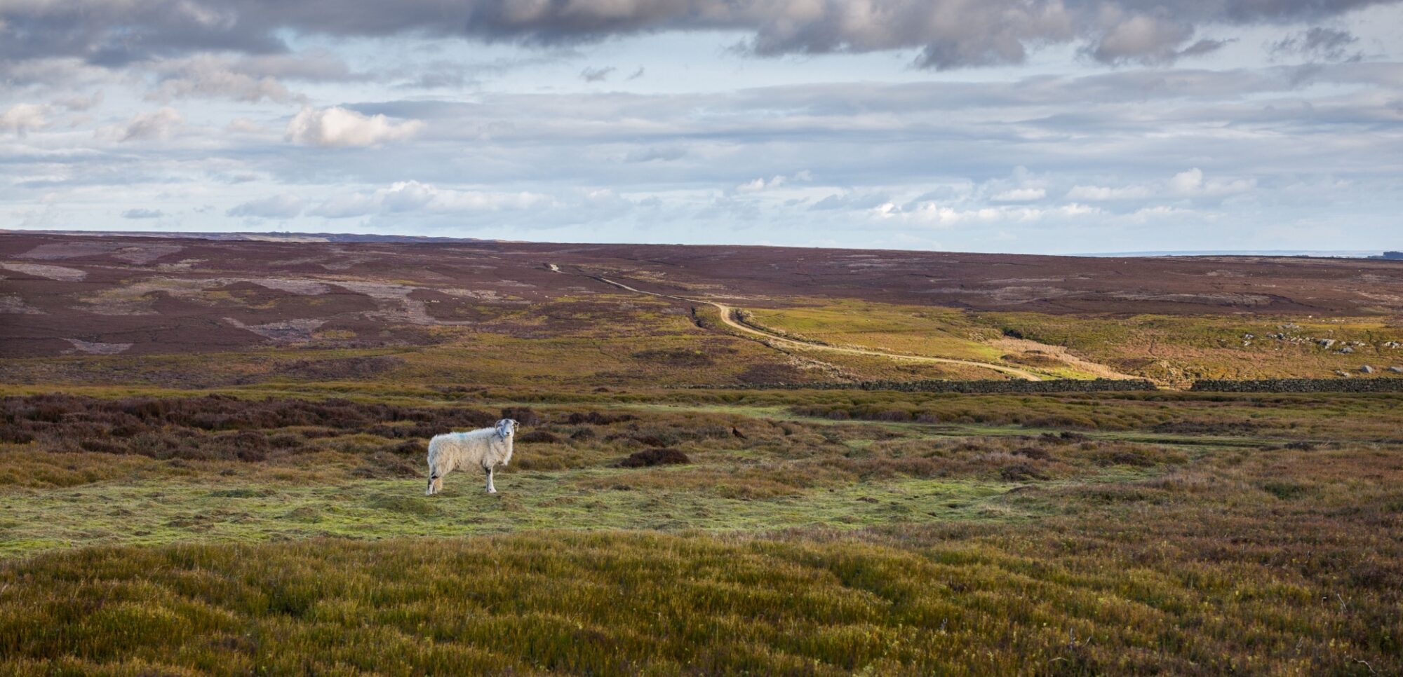 Image name bonfield gill north york moors the 11 image from the post Ugthorpe in Yorkshire.com.