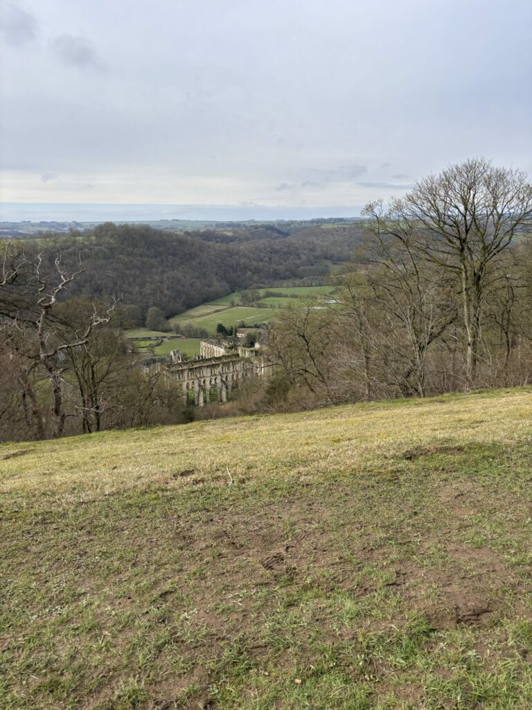 A look at the history of Ionic Temple, Rievaulx Terrace, with Dr Emma Wells Post image 6 Image name view from rievaulx terrace to rievaulx north yorkshire the 6 image from the post A look at the history of Ionic Temple, Rievaulx Terrace, with Dr Emma Wells in Yorkshire.com.