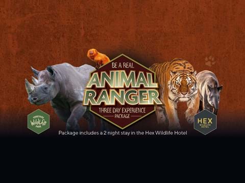 Visit Yorkshire Wildlife Park In Doncaster Visitor Attraction image 5 Animal Ranger at Yorkshire Wildlife Park