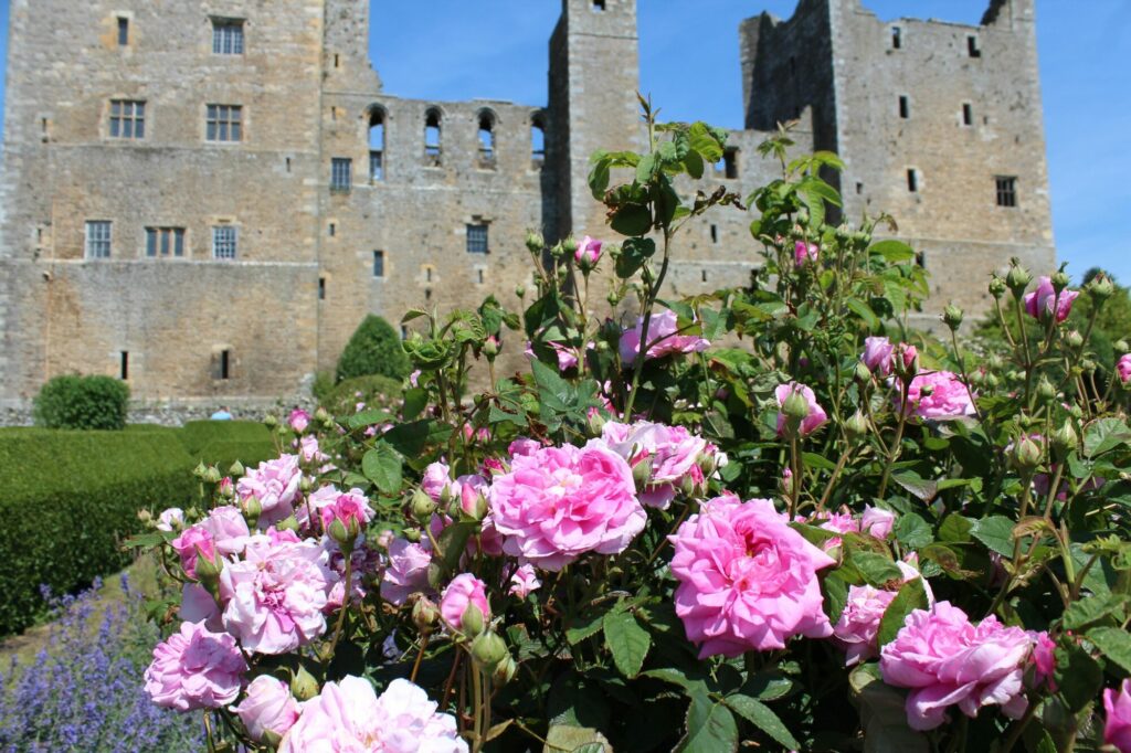 Unique Father's Day Gift Idea: Falconry Experience at Bolton Castle Post image 1 Image name Bolton Castle and Roses the 1 image from the post Unique Father's Day Gift Idea: Falconry Experience at Bolton Castle in Yorkshire.com.