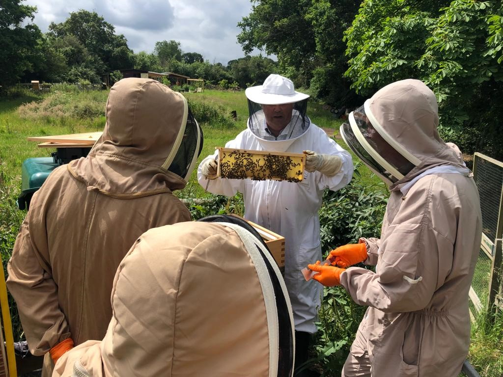 Image name Carlton Towers Beekeeping Workshops the 1 image from the post Beekeeping Experience at Carlton Towers in Yorkshire.com.