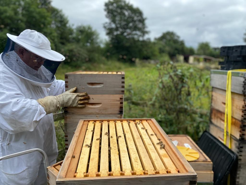Image name Carlton Towers Beekeeping2 the 2 image from the post Beekeeping Experience at Carlton Towers in Yorkshire.com.
