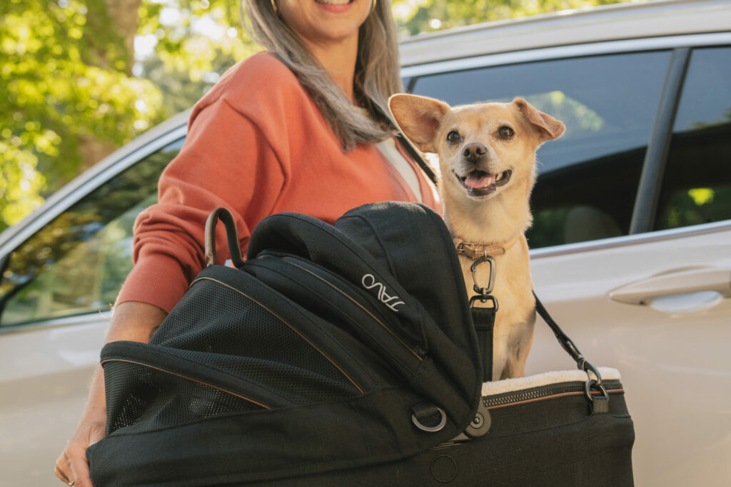 Pet Protection Reimagined - Tavo - Endorsed By Dr Julian Norton Post image 6 Image name Tavo Maeve Lifestyle Shot 4 the 5 image from the post Pet Protection Reimagined - Tavo - Endorsed By Dr Julian Norton in Yorkshire.com.