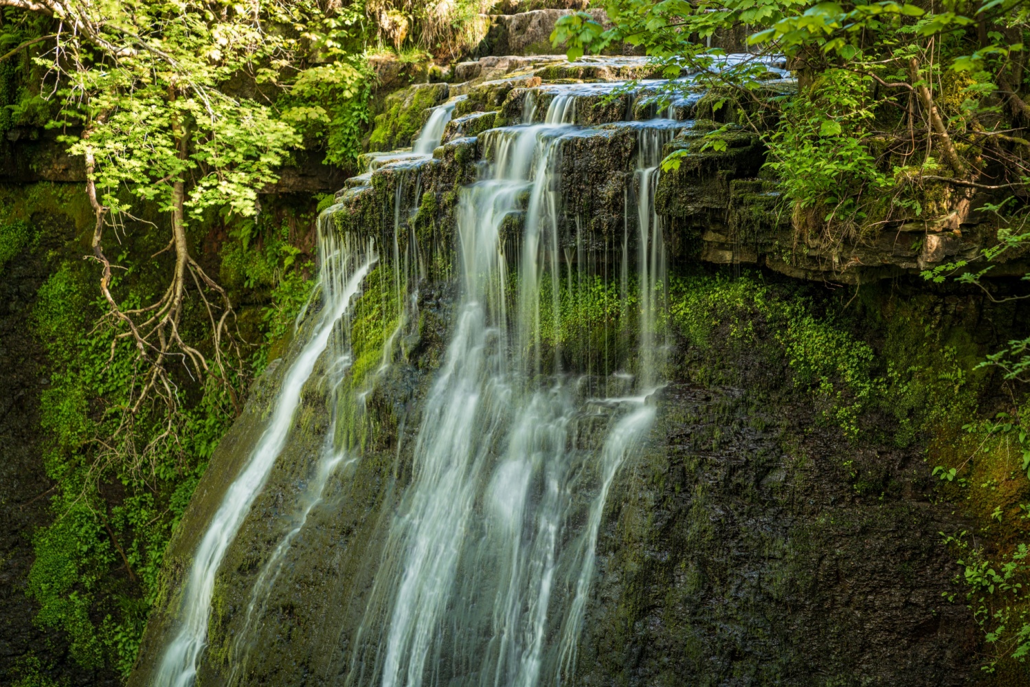 Image name aysgill force north yorkshire the 28 image from the post Walk: Hawes Circular 10 miles in Yorkshire.com.