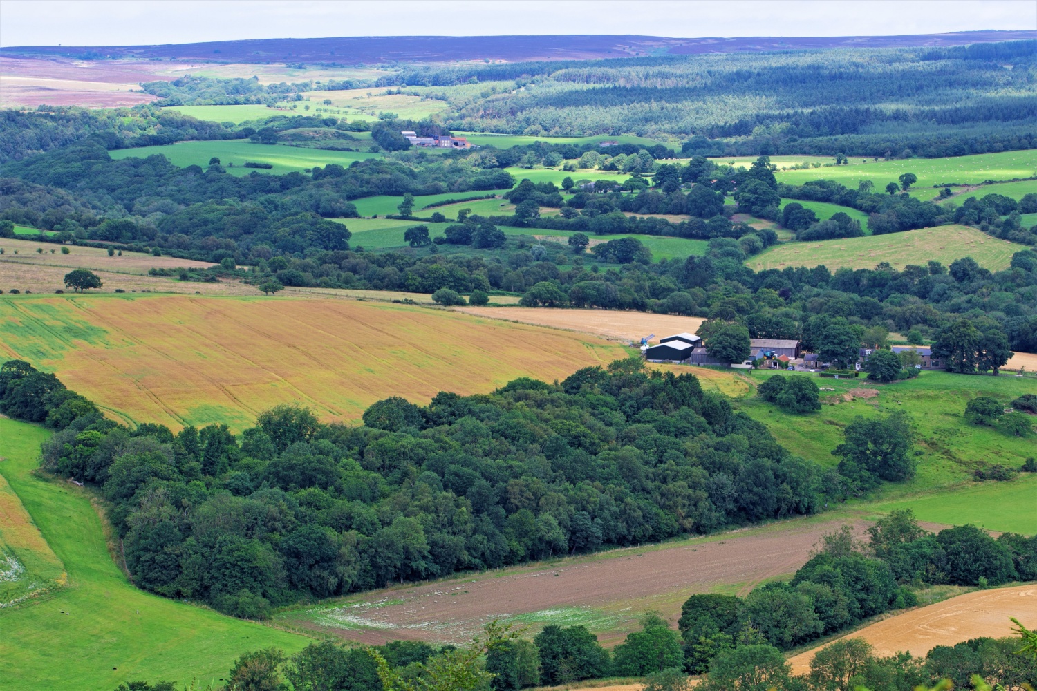 Image name broxa north york moors yorkshire the 27 image from the post Broxa, North Yorkshire in Yorkshire.com.