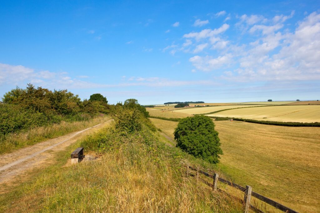 Walk: The Hudson Way Post image 1 Image name george hudson way kiplingcotes chalk pit the 1 image from the post Walk: The Hudson Way in Yorkshire.com.