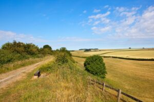 Driffield (Great Driffield) Page image 9 Image name george hudson way kiplingcotes chalk pit the 2 image from the post Driffield (Great Driffield) in Yorkshire.com.