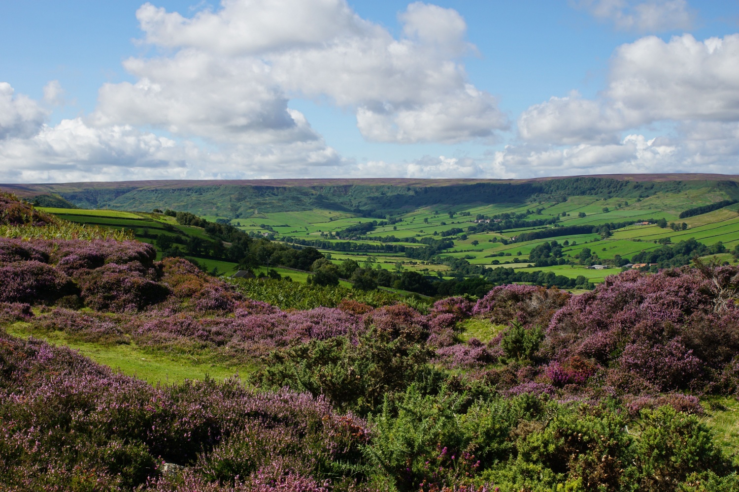 Image name glaisdale north york moors yorkshire the 9 image from the post Glaisdale in Yorkshire.com.
