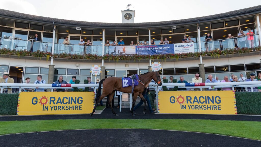 Matt Hampson Foundation Partners With Go Racing In Yorkshire Post image 1 Image name go racing in yorkshire summer festival the 1 image from the post Matt Hampson Foundation Partners With Go Racing In Yorkshire in Yorkshire.com.