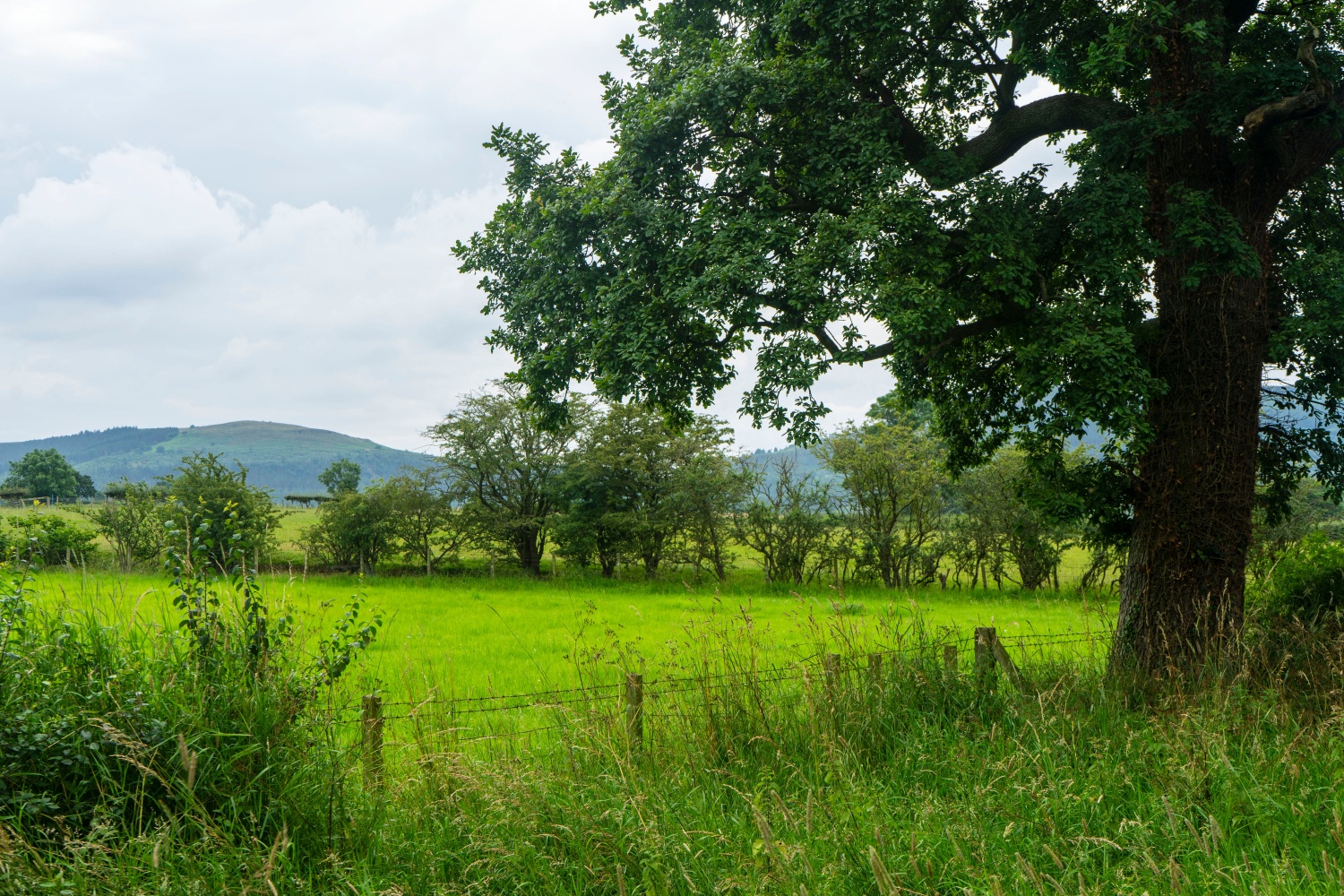 Image name ingleby greenhow countryside the 2 image from the post Ingleby Greenhow in Yorkshire.com.