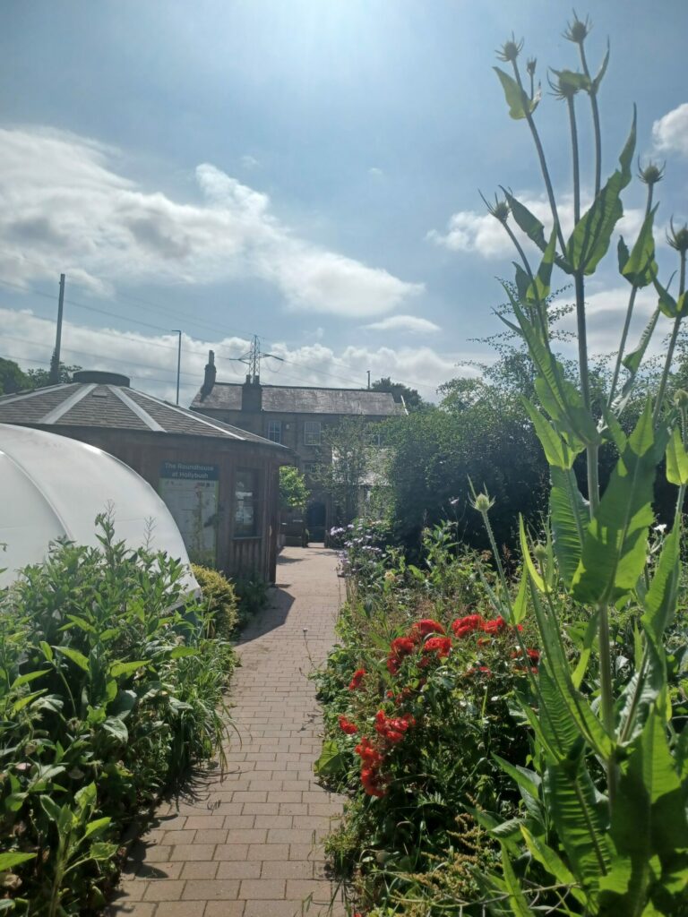 Celebrating Yorkshire heritage through the legacy of Joseph Whitwell Post image 1 Image name Rhubarb Routes2 c.TCV Hollybush the 1 image from the post Celebrating Yorkshire heritage through the legacy of Joseph Whitwell in Yorkshire.com.