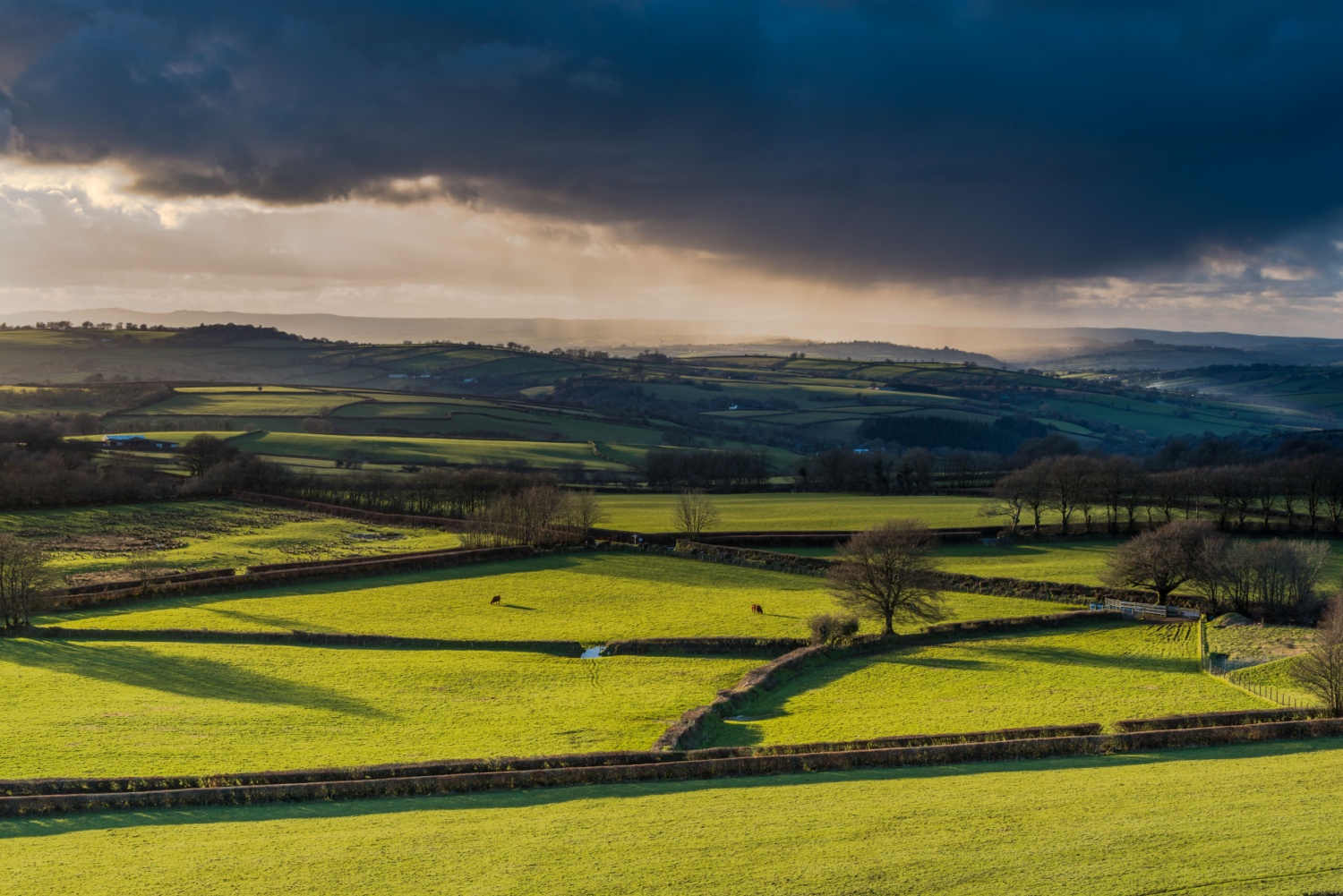 Image name rainton north yorkshire fields shadows the 21 image from the post Rainton in Yorkshire.com.