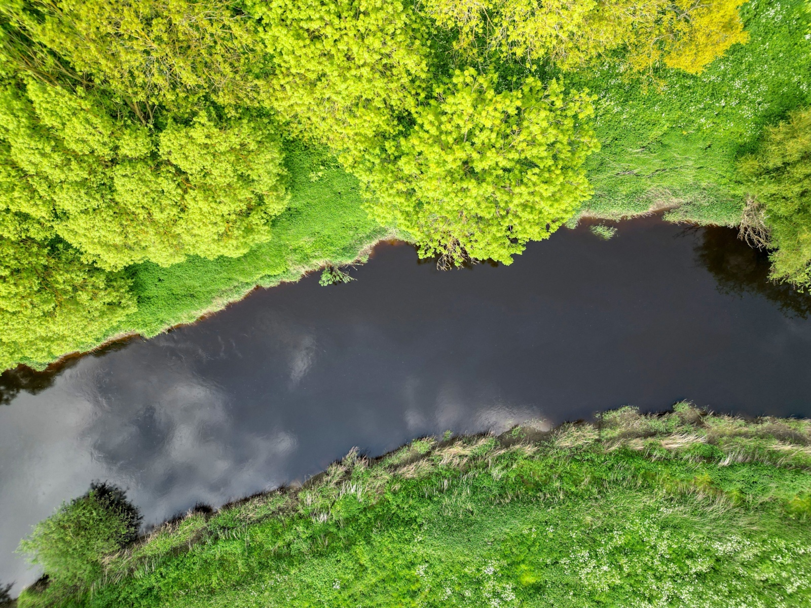 Image name river wharfe ryther yorkshire the 12 image from the post Ulleskelf in Yorkshire.com.