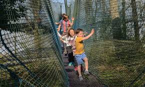 Visit The Treetop Nets - Ripon Visitor Attraction image 2 Image name treetop nets ripon the 1 image from the post Visit The Treetop Nets - Ripon in Yorkshire.com.