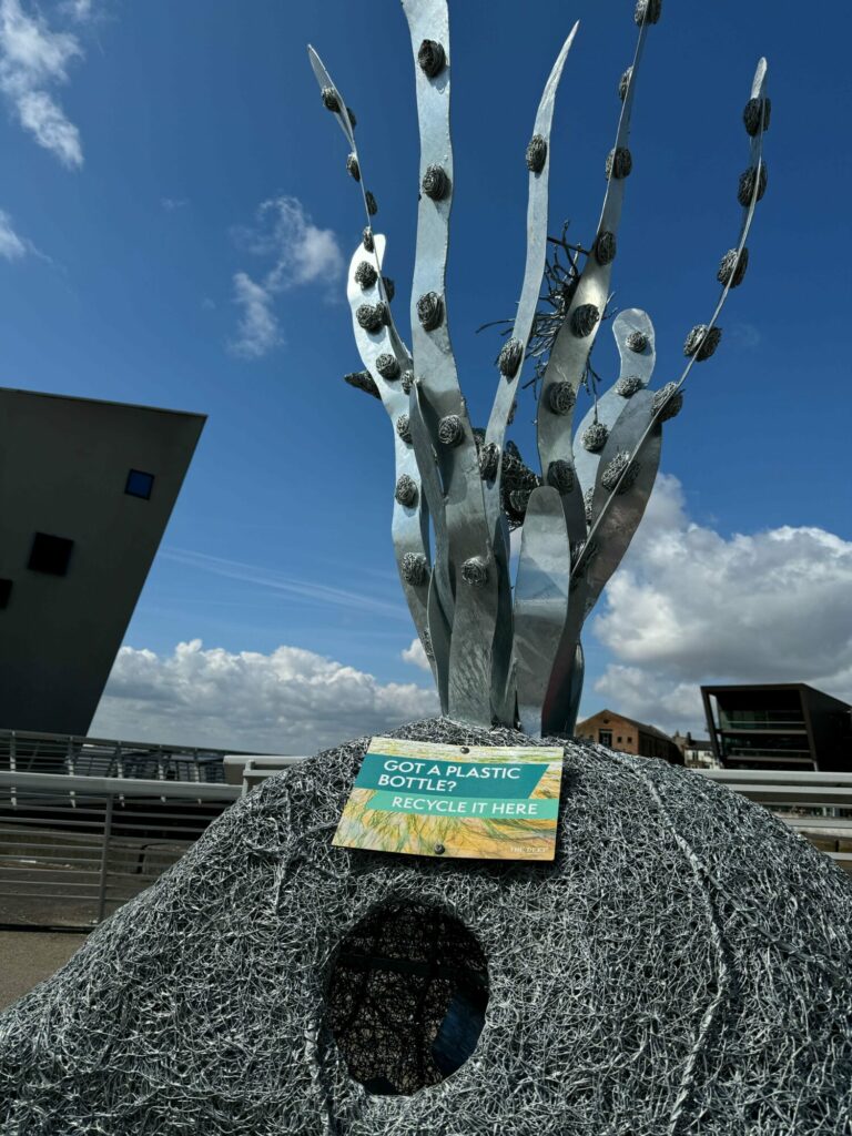 Image name IMG 0436 the 4 image from the post New seagrass sculpture funded by Wilder Humber now at The Deep in Yorkshire.com.