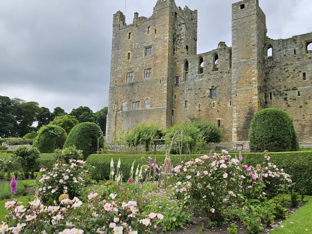 A Blooming Success: Bolton Castle's Rose Arbour Garden Shines This Summer Post image 2 Image name Roses at Bolton Castle landscape the 2 image from the post A Blooming Success: Bolton Castle's Rose Arbour Garden Shines This Summer in Yorkshire.com.