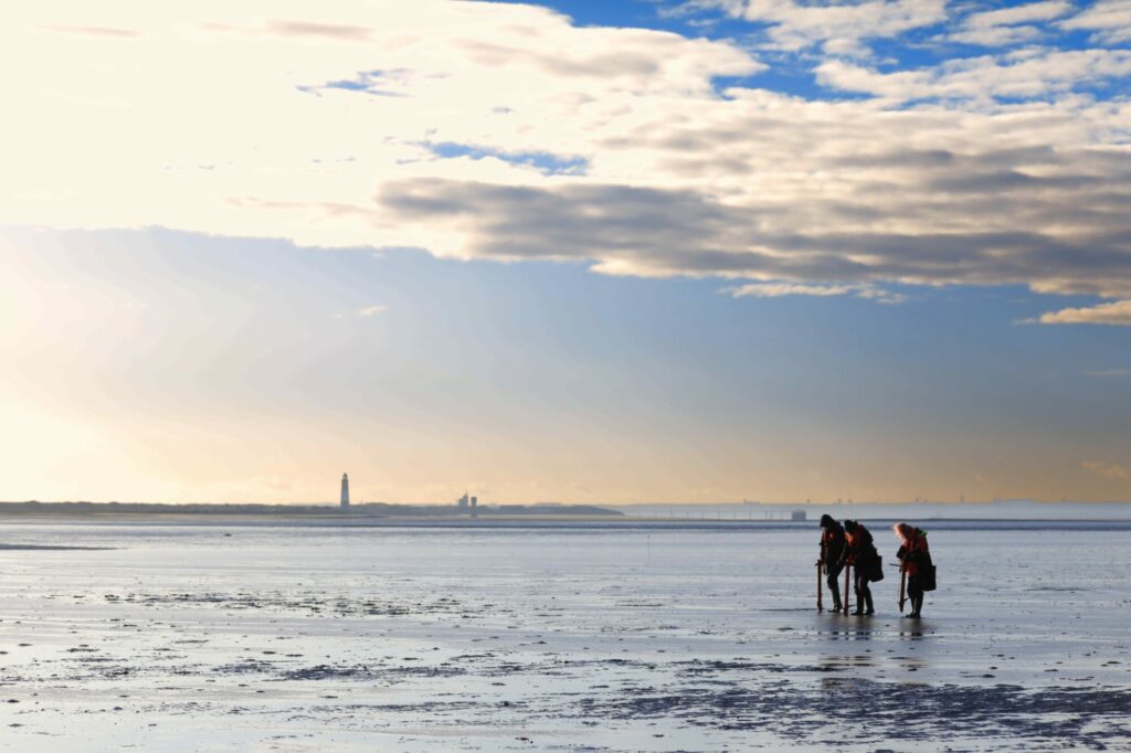 Image name Seagrass planting at Spurn Point c Cate Holborn the 3 image from the post New seagrass sculpture funded by Wilder Humber now at The Deep in Yorkshire.com.