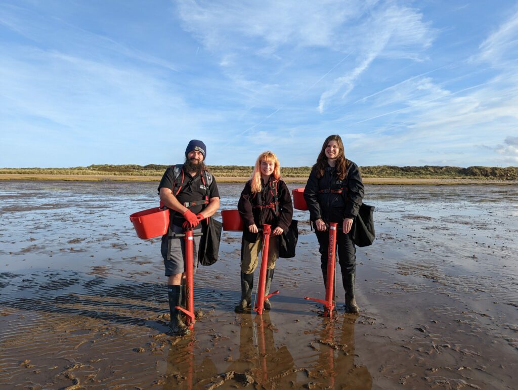 Image name Wilder Humber seagrass planting c Cate Holborn the 2 image from the post New seagrass sculpture funded by Wilder Humber now at The Deep in Yorkshire.com.