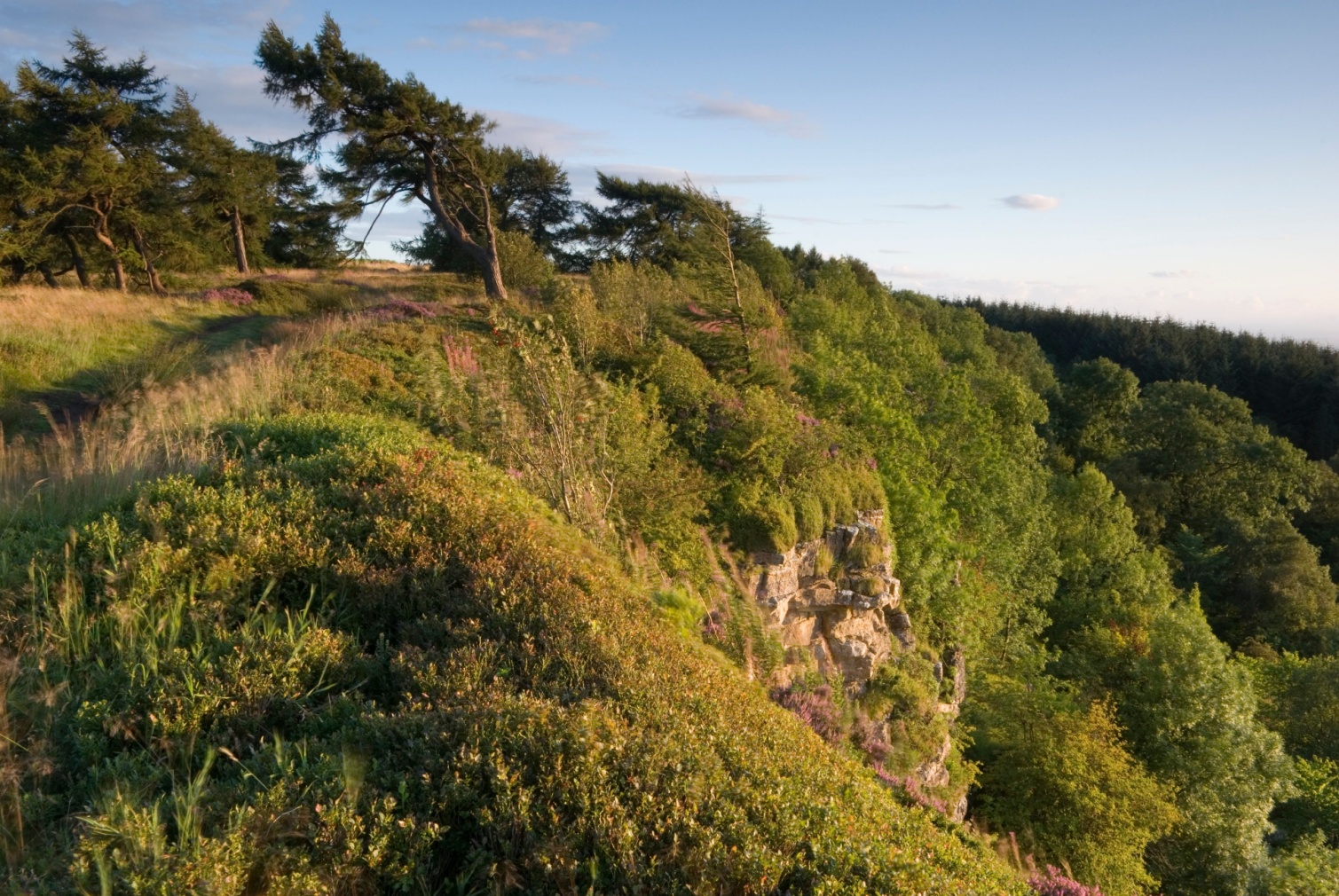 Image name boltby scar north york moors the 19 image from the post Walk: Boltby Forest in Yorkshire.com.