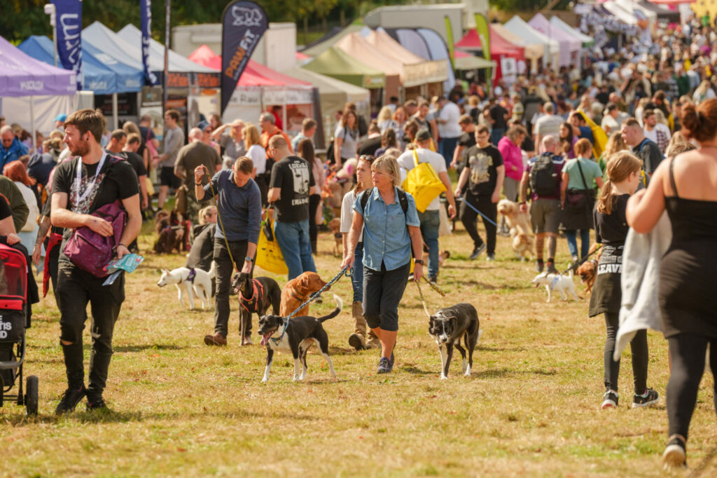 How to Keep Your Pets Safe This Easter: Vet Shares Top Tips Post image 1 DogFest 2024