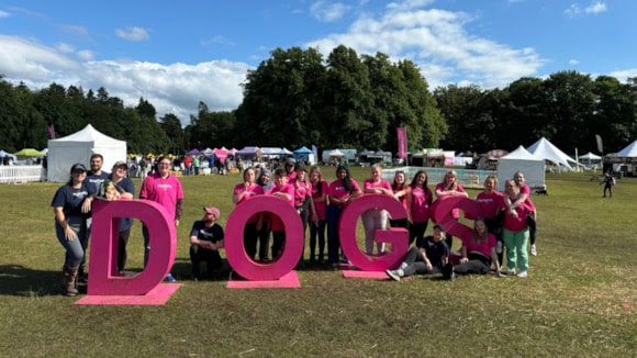 DogFest