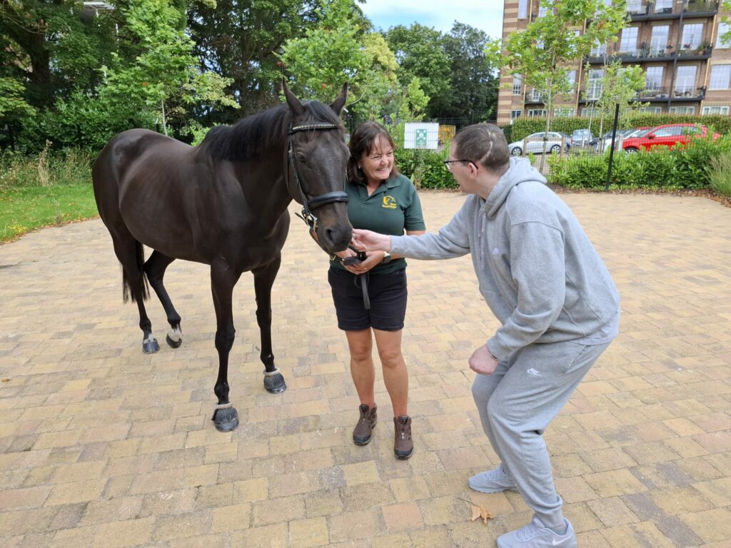 Retired Racehorse Remy Brings Joy and Therapy to People with Brain Injuries at York Neurological Centre Post image 2 Image name KarlandRemy the 2 image from the post Retired Racehorse Remy Brings Joy and Therapy to People with Brain Injuries at York Neurological Centre in Yorkshire.com.